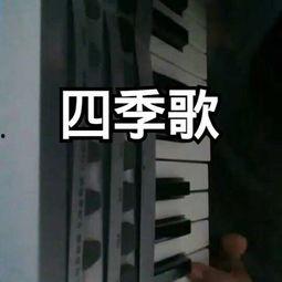四季歌曲视频,跟随视频领略四季之美