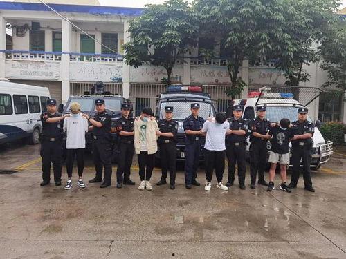 公安抓捕现场视频,公安雷霆出击,抓捕行动一网打尽