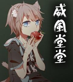 佑可猫视频,萌宠日常,温馨治愈的短视频之旅