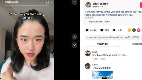 人成视频在线播放,探索虚拟世界的无限可能