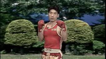 散打摆拳教学视频