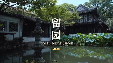 拙政园视频,穿越江南园林的古典画卷