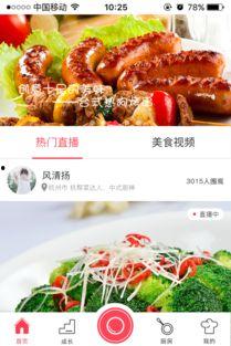 掌勺视频,揭秘家常美食制作技巧