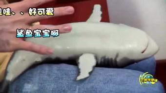 小男孩被挠痒痒视频,小男孩挠痒痒视频萌翻网友