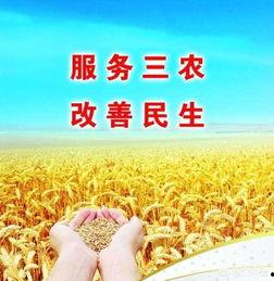 三农视频,视频展现乡村振兴新面貌